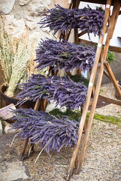 Papier peint  Bouquets de lavande sur une échelle