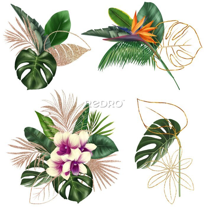 Papier peint  Bouquets of green and golden tropical leaves and bright exotic flowers (orchids and strelitzia), tropical floral clipart, isolated illustration on white background