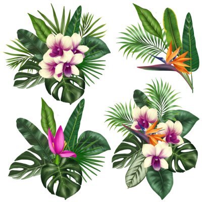 Papier peint  Bouquets of green tropical leaves and bright exotic flowers (orchids, banana flower and strelitzia), tropical floral clipart, isolated illustration on white background