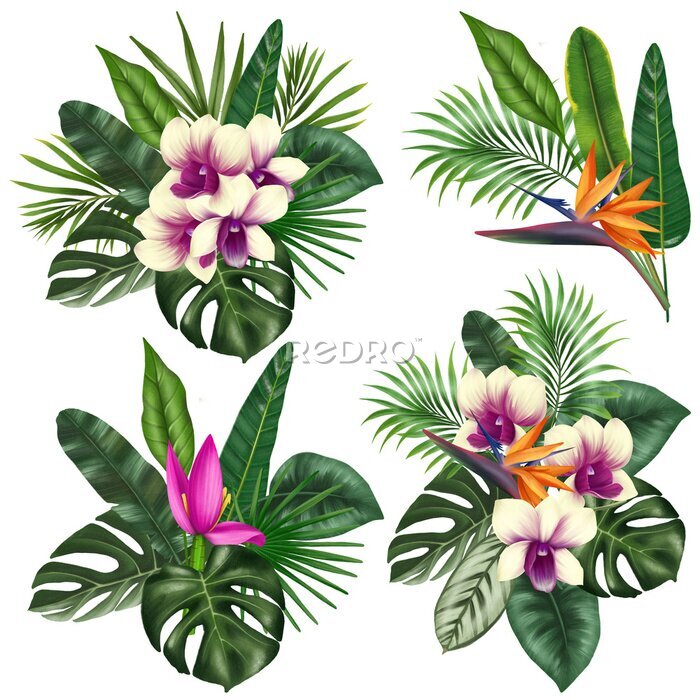 Papier peint  Bouquets of green tropical leaves and bright exotic flowers (orchids, banana flower and strelitzia), tropical floral clipart, isolated illustration on white background