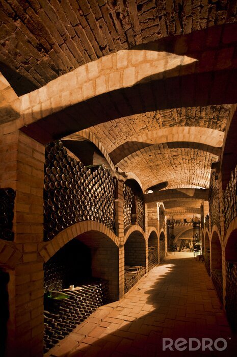 Papier peint  Bouteilles de vin dans une vieille cave