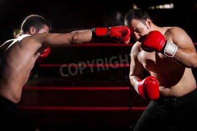 Papier peint  Boxe 3d combat