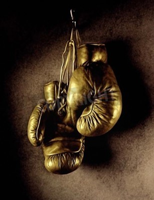 Papier peint  Boxe gant sur un crochet