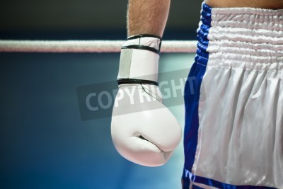Papier peint  Boxeur prêt au combat