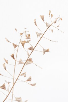 Branch romantic beige color shepherd's bag dry little flowers vertical