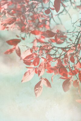 Papier peint  Branches d'automne dans des tons rouges