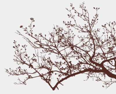 Papier peint  Branches d'un arbre à fleurs