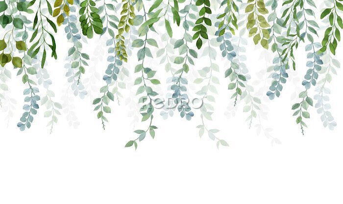 Papier peint  Branches de plantes vertes suspendues au-dessus sur un fond blanc
