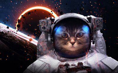 Papier peint  Brave cat astronaut at the spacewalk. This image elements furnished by NASA