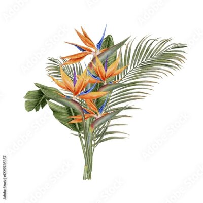 Papier peint  Bright orange strelitzia flowers bouquet floral composition with tropical leaves palm and watercolor illustration on white. Template for textile, fabric, wallpaper, card, packaging, party