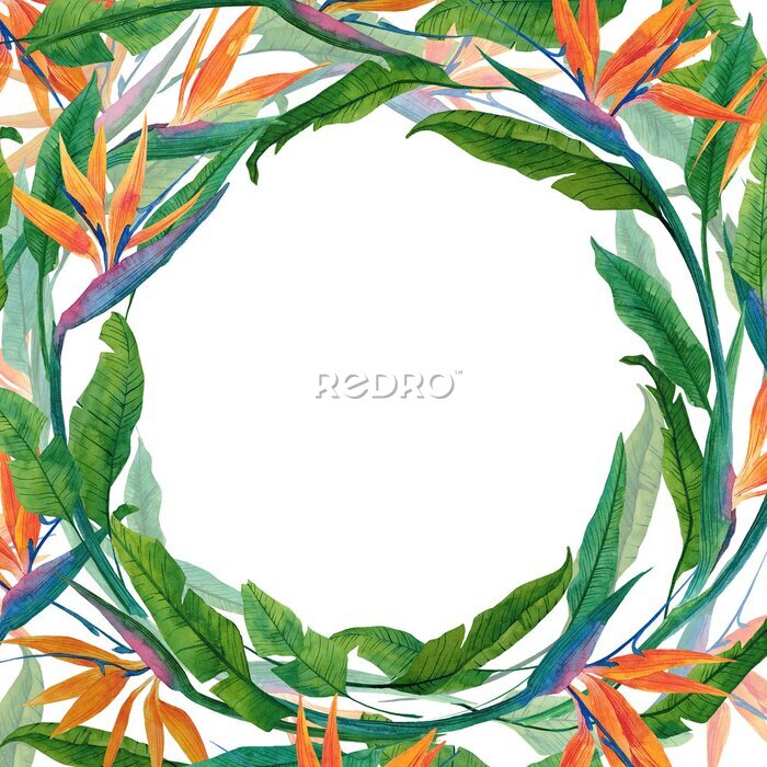 Papier peint  Bright square frame with tropical plant: strelitzia. Hand-drawn frame of leaves and flowers of strelitzia for the design of invitations, greeting cards, banners and posters. Watercolor frame
