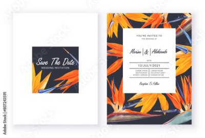 Papier peint  Bright templates with space for text, minimalist design with tropical flowers and leaves of Strelitzia royal. Realistic style, hand drawn, vector. Background for your design, templates, invitations