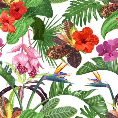 Papier peint  Bright vector seamless pattern of tropical flowers and leaves with many details. Hibiscus, strelitzia, medinilla, orchids on a white background.