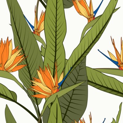 Papier peint  Brillant modèle sans couture tropical gai. Strelitzia orange exotique oiseau de paradis fleurs longues longues feuilles vertes sur fond blanc. Verdure de villégiature. Illustration de conception de ve
