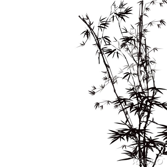 Papier peint  Brindilles de bambou noir