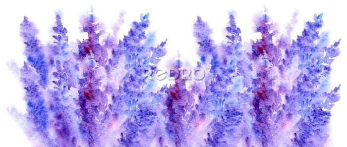 Papier peint  Brins de lavande mauve en fleur