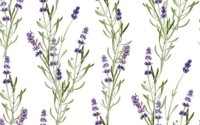Papier peint  Brins de lavande sur fond blanc