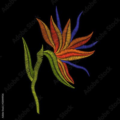 Papier peint  Broderie Bird of Paradise fleurs, Strelitzia tropical. Impression florale ornementale de mode vecteur sur fond noir pour la décoration folklorique traditionnelle en tissu.