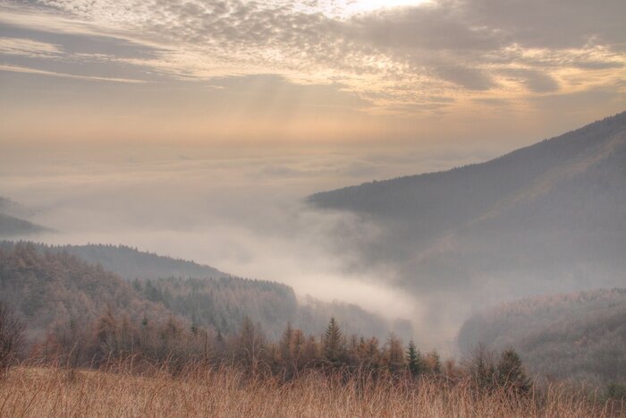 Papier peint  Brouillard dans la vallée