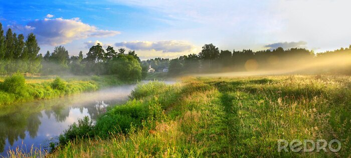 Papier peint  Brouillard sur une prairie