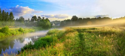 Papier peint  Brouillard sur une prairie