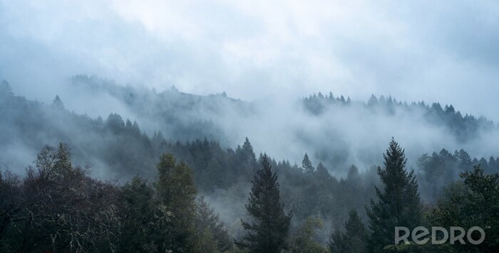 Papier peint  Brume parmi les arbres et les collines