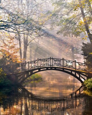 Brume sur un pont dans un parc