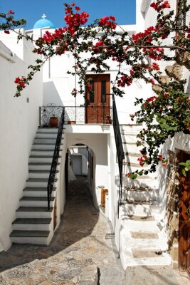 Papier peint  Buisson rouge près d'une maison grecque