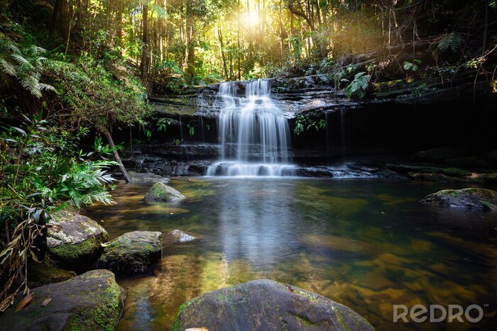 Papier peint  Bushland waterfall and oasis