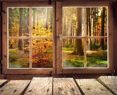 Papier peint  Cabane en bois avec vue sur une forêt d'automne