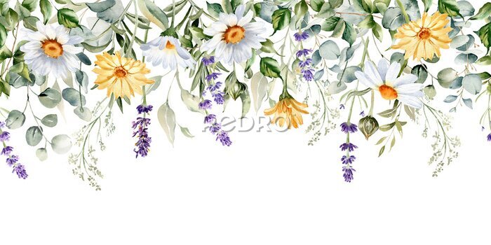 Papier peint  Cadre aquarelle de fleurs sauvages