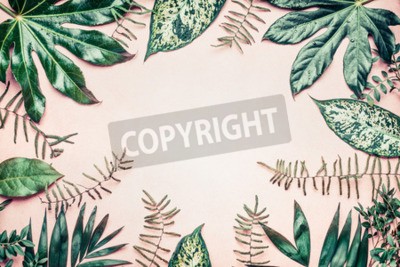 Papier peint  Cadre avec des feuilles vertes