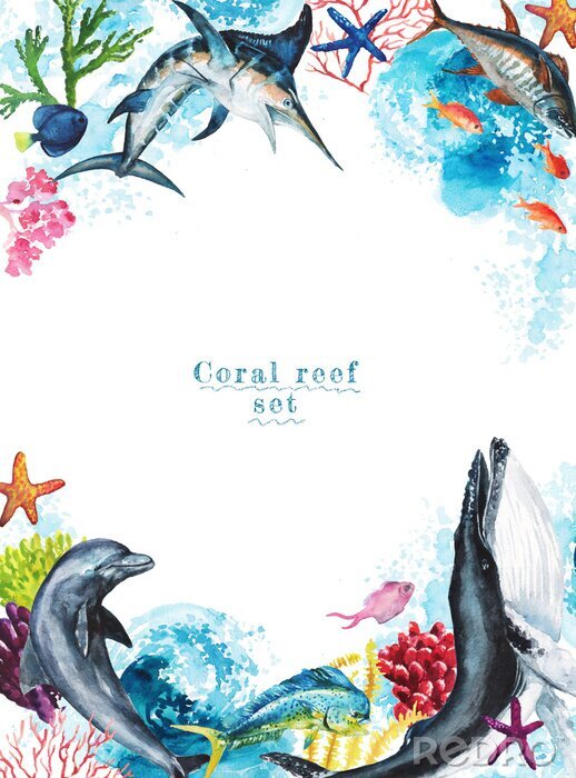 Papier peint  Cadre avec les dauphins et le récif corallien