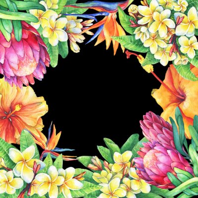 Papier peint  Cadre carré avec branches protéas violettes, plumeria, strelitzia et hibiscus. Aquarelle dessinée peinture dessinée sur fond noir. Élément pour affiches, cartes de voeux.