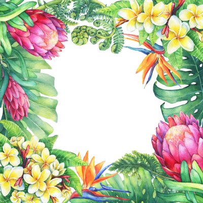 Papier peint  Cadre carré avec branches protéas violettes, plumeria, strelitzia et plantes tropicales. Aquarelle dessinée dessinée d'illustration dessinée sur fond blanc. Élément pour affiches, cartes de voeux.