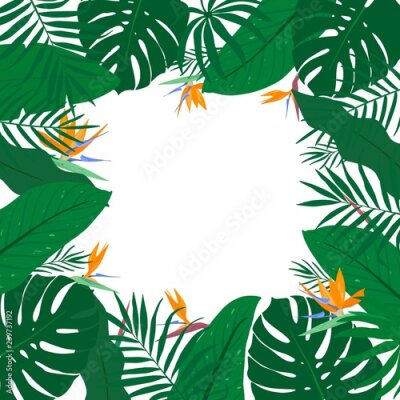 Papier peint  Cadre carré tropical avec feuilles vertes exotiques et fleur de Strelitzia. Modèle d'été pour la publicité, conception, fête, affiche, print, web.