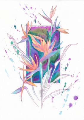 Papier peint  Cadre de couleur avec des fleurs Strelitzia sur fond blanc