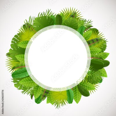 Papier peint  Cadre de feuilles tropicales. Arrière-plan de conception florale jungle. Palmier, banane, frangipanier, monstera, strelitzia