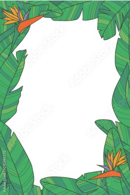 Papier peint  Cadre de plante botanique avec une fleur verte exotique d'oiseau de paradis Strelitzia laisse sur fond transparent