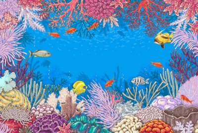 Papier peint  Cadre de récif corallien dans l'océan