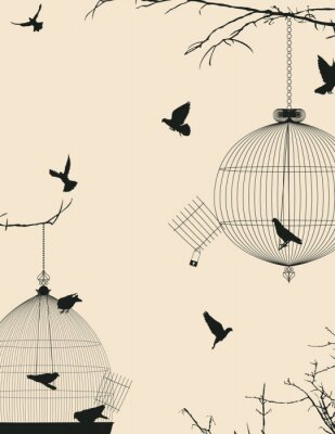 Papier peint  Cages à oiseaux