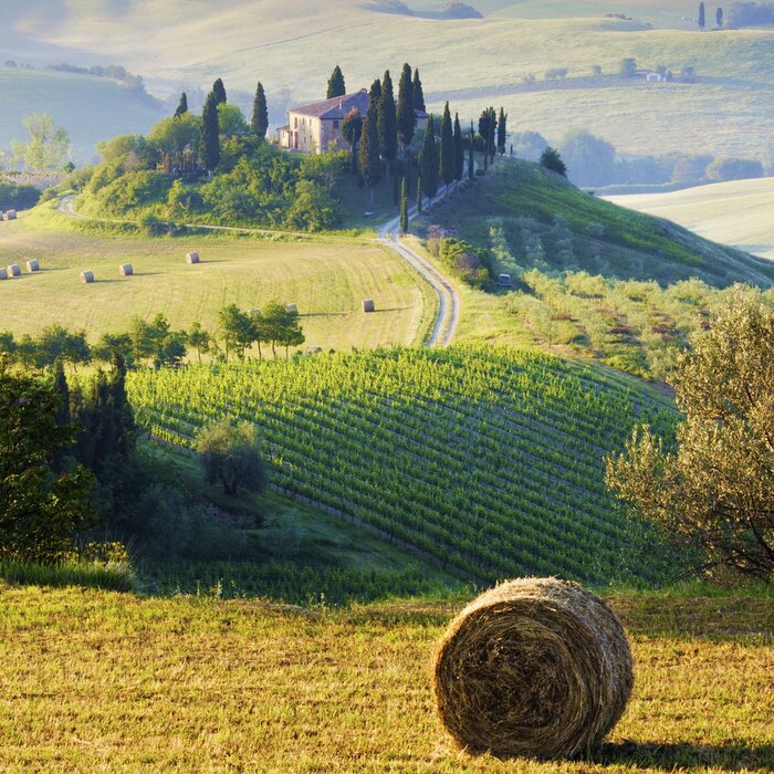 Papier peint  Campagne Toscane, Italie