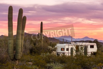 Papier peint  Camper dans le désert avec des cactus