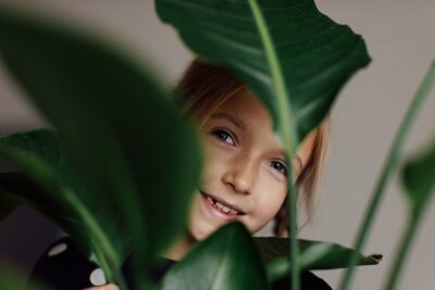 Papier peint  Candid portrait of Cute caucasian little girl with Strelitzia houseplant at home. Greenery in modern apartment. Love and take care of plants, hobby time. Indoor cozy garden with big green leaves.