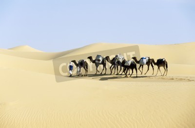 Papier peint  Caravane dans le désert africain