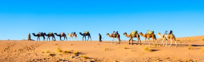 Papier peint  Caravane dans le désert du Sahara