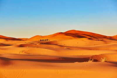 Papier peint  Caravane dans le désert du Sahara en Afrique