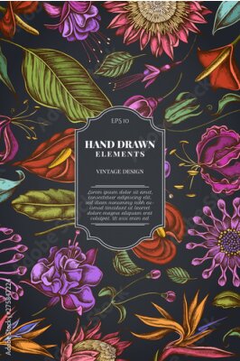 Papier peint  Card design on dark background with african daisies, fuchsia, gloriosa, king protea, anthurium, strelitzia