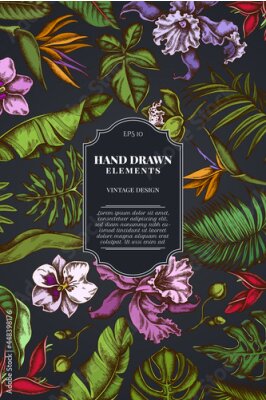 Papier peint  Card design on dark background with monstera, banana palm leaves, strelitzia, heliconia, tropical palm leaves, orchid