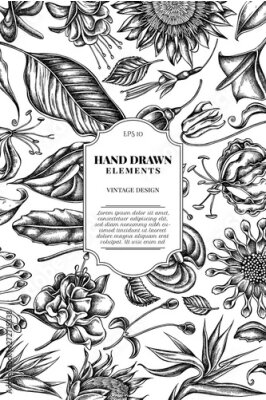 Papier peint  Card design with black and white african daisies, fuchsia, gloriosa, king protea, anthurium, strelitzia